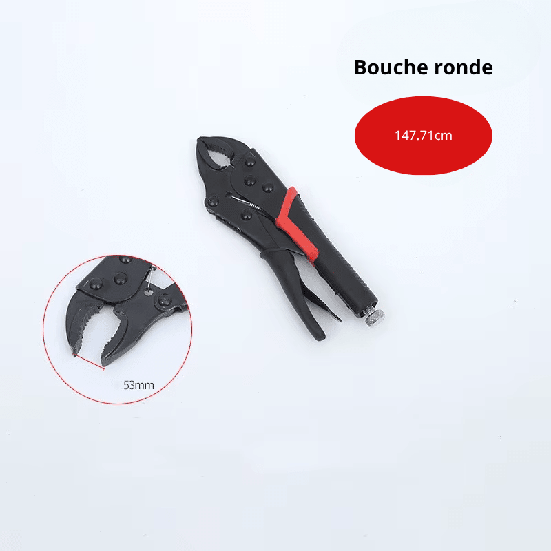 Pince étau en acier robuste - résistante à la corrosion